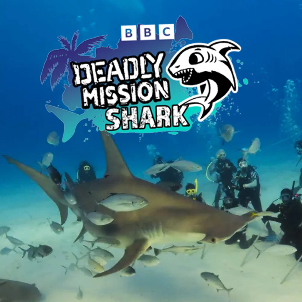 Deadly Mission Shark factual TV trailer edit